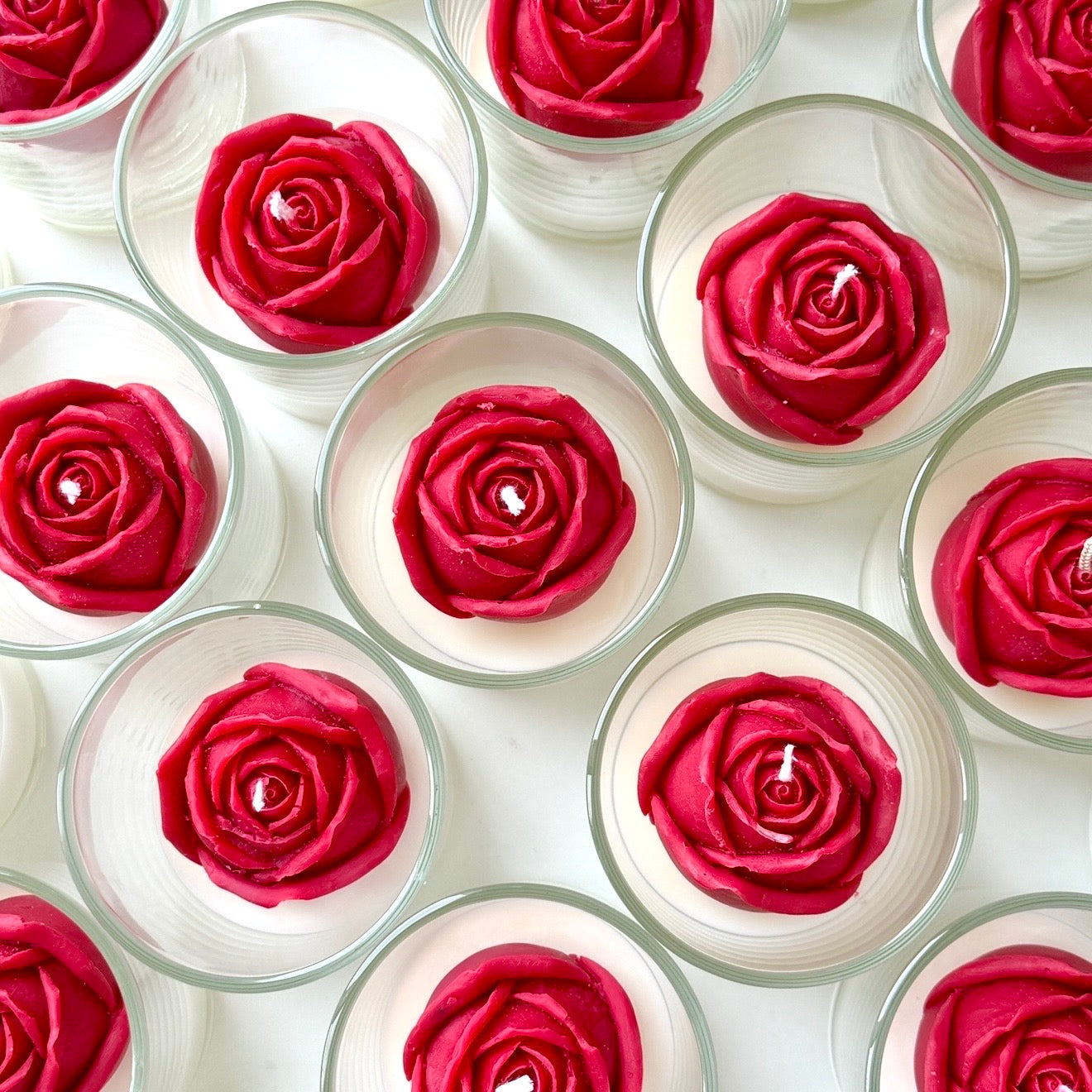St.Valentine’s rose